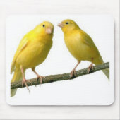Pet Canary Bird Merchandise Muismat (Voorkant)