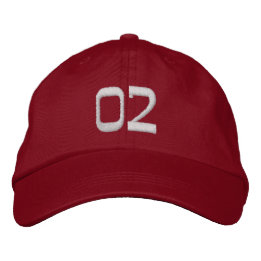 Pet cap sport hockey  Geborduurde Pet, sport pet