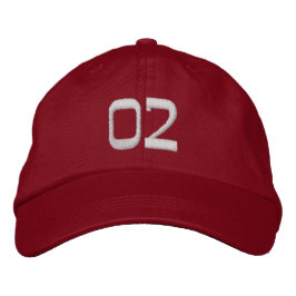 Pet cap sport hockey Geborduurde Pet, sport pet