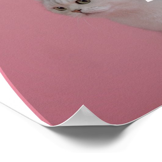 Pet Care Services Poster (Hoek)