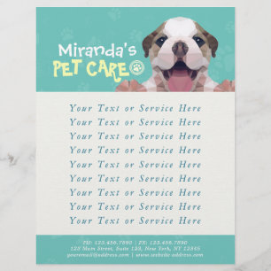Pet Care Sitting Bathing Grooming Salon Food Shop Flyer