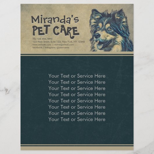 Pet Care Sitting Schattige tekenfilm Illustratie Flyer (Voorkant)