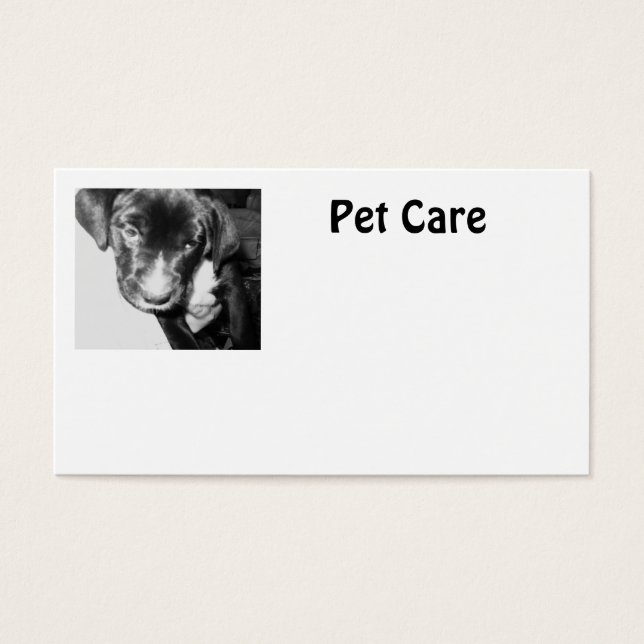Pet Care Visitekaartjes (Voorkant)
