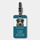 Pet carrier scan als verloren QR code telefoon naa Bagagelabel (Voorkant verticaal)