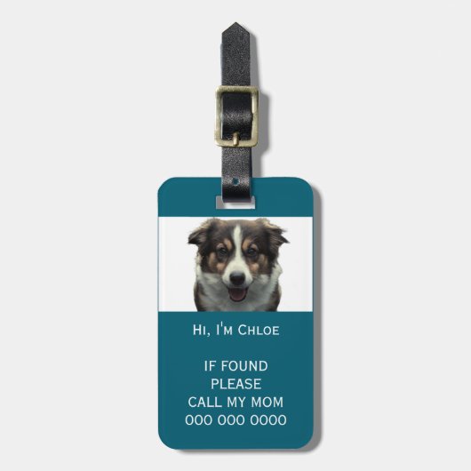 Pet carrier scan als verloren QR code telefoon naa Bagagelabel (Voorkant verticaal)