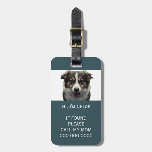 Pet carrier scan als verloren QR code telefoon naa Bagagelabel (Voorkant verticaal)