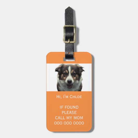 Pet carrier scan als verloren QR code telefoon naa Bagagelabel (Voorkant verticaal)