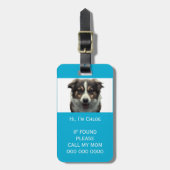 Pet carrier scan als verloren QR code telefoon naa Bagagelabel (Voorkant verticaal)