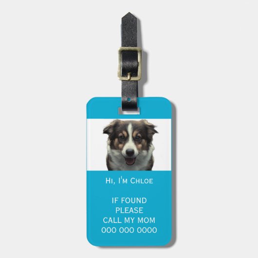 Pet carrier scan als verloren QR code telefoon naa Bagagelabel (Voorkant verticaal)