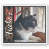 Pet Cat aangepaste naam en foto Sticker (Voorkant)