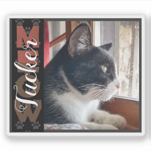 Pet Cat aangepaste naam en foto Sticker (Voorkant)