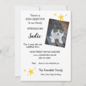 Pet Cat Adoption New Pet Announcement Flat Card Aankondiging (Voorkant)