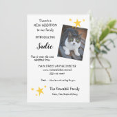 Pet Cat Adoption New Pet Announcement Flat Card Aankondiging (Staand voorkant)