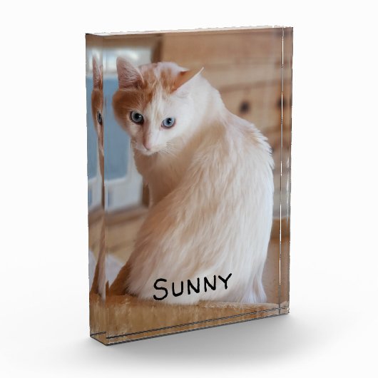 Pet Cat Dog Afbeelding Naam Sjabloon DIY Verticaal Fotoblokken (Links)