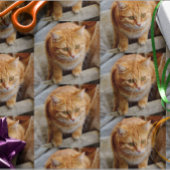 Pet Cat Dog Foto aanpassen Aangepast Cadeaupapier