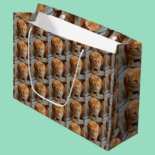 Pet Cat Dog Foto aanpassen Aangepast Groot Cadeauzakje