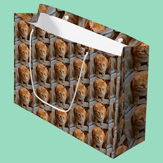 Pet Cat Dog Foto aanpassen Aangepast Groot Cadeauzakje