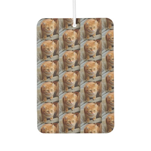 Pet Cat Dog Foto aanpassen Aangepast groot Luchtverfrisser (Voorkant)