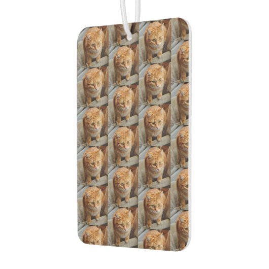 Pet Cat Dog Foto aanpassen Aangepast groot Luchtverfrisser (Links)