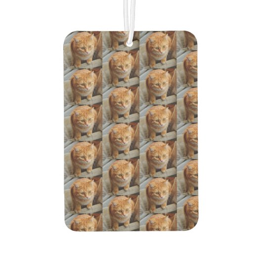 Pet Cat Dog Foto aanpassen Aangepast groot Luchtverfrisser (Achterkant)