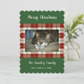 Pet Cat Dog Holiday kerstkaart (Staand voorkant)