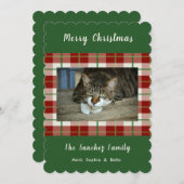 Pet Cat Dog Holiday kerstkaart (Voorkant / Achterkant)