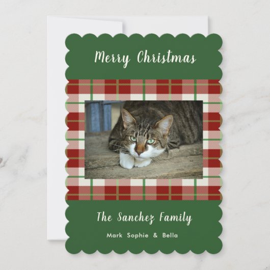 Pet Cat Dog Holiday kerstkaart (Voorkant)