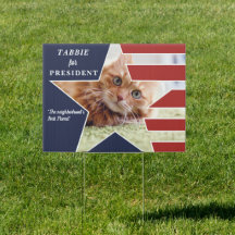 Pet Cat foto presidentsverkiezing 2024 kandidaat