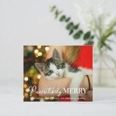 Pet Cat-fotokaart op maat maken voor budget (Staand voorkant)