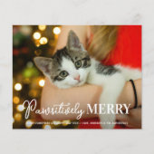 Pet Cat-fotokaart op maat maken voor budget (Voorkant)