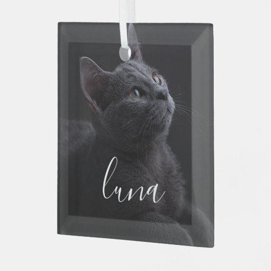 Pet Cat Fotonaam Glas Ornament (Voorkant links)