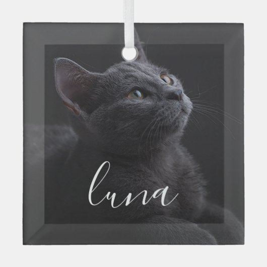 Pet Cat Fotonaam Glas Ornament (Voorkant)