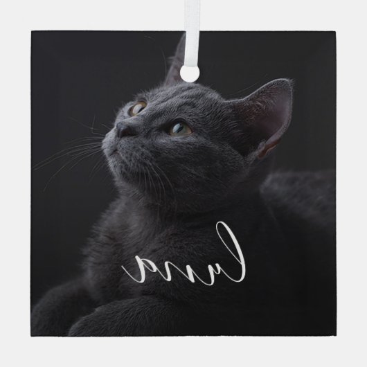 Pet Cat Fotonaam Glas Ornament (Achterkant)