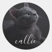 Pet Cat Fotonaam Ronde Sticker (Voorkant)