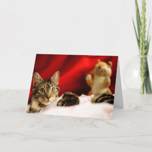 Pet Cat Kerst Kaart