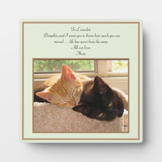 Pet Cat Memorial in Loving Memory Plaque Fotoplaat (Voorkant)