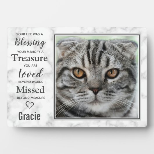 Pet Cat Memorial Pet Loopt sympathie Foto Fotoplaat (voorkant)