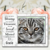 Pet Cat Memorial Pet Loopt sympathie Foto Fotoplaat