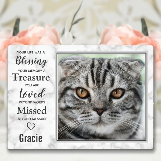 Pet Cat Memorial Pet Loopt sympathie Foto Fotoplaat