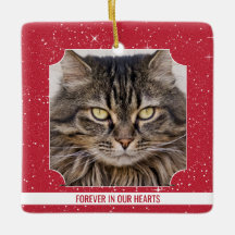 Pet Cat Memorial Red Snow Kerstmis
