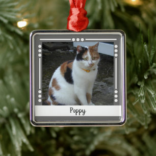 Pet Cat naam Foto Holiday grijs wit Metalen Ornament