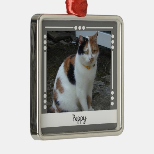 Pet Cat naam Foto Holiday grijs wit Metalen Ornament (Rechts)