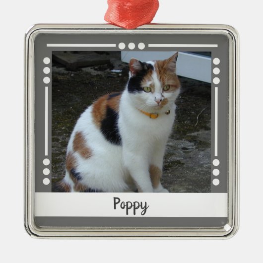 Pet Cat naam Foto Holiday grijs wit Metalen Ornament (Voorkant)