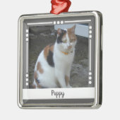 Pet Cat naam Foto Holiday grijs wit Metalen Ornament (Links)