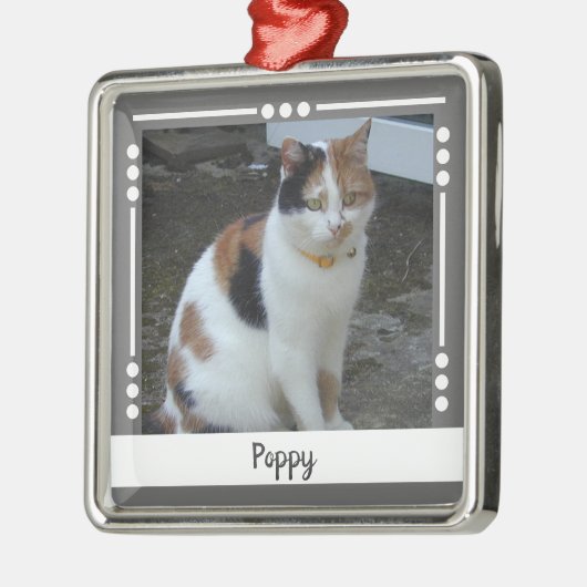 Pet Cat naam Foto Holiday grijs wit Metalen Ornament (Links)