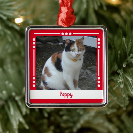 Pet Cat naam Foto Holiday rood wit Metalen Ornament (Boom)
