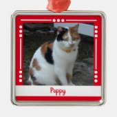 Pet Cat naam Foto Holiday rood wit Metalen Ornament (Voorkant)