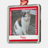 Pet Cat naam Foto Holiday rood wit Metalen Ornament (Links)