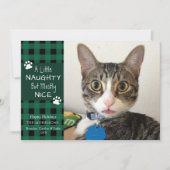Pet Cat Naughty en Nice Green Black Pset Feestdagenkaart (Voorkant)