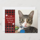 Pet Cat Naughty Nice Red Black Plaid Feestdagenkaart (Voorkant)